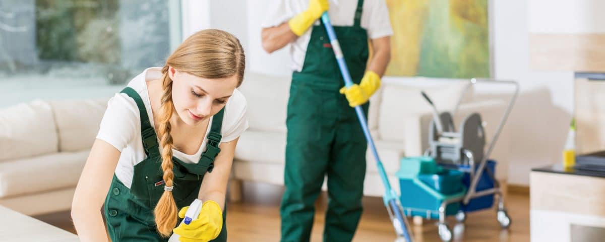 Professionals Cleaning House