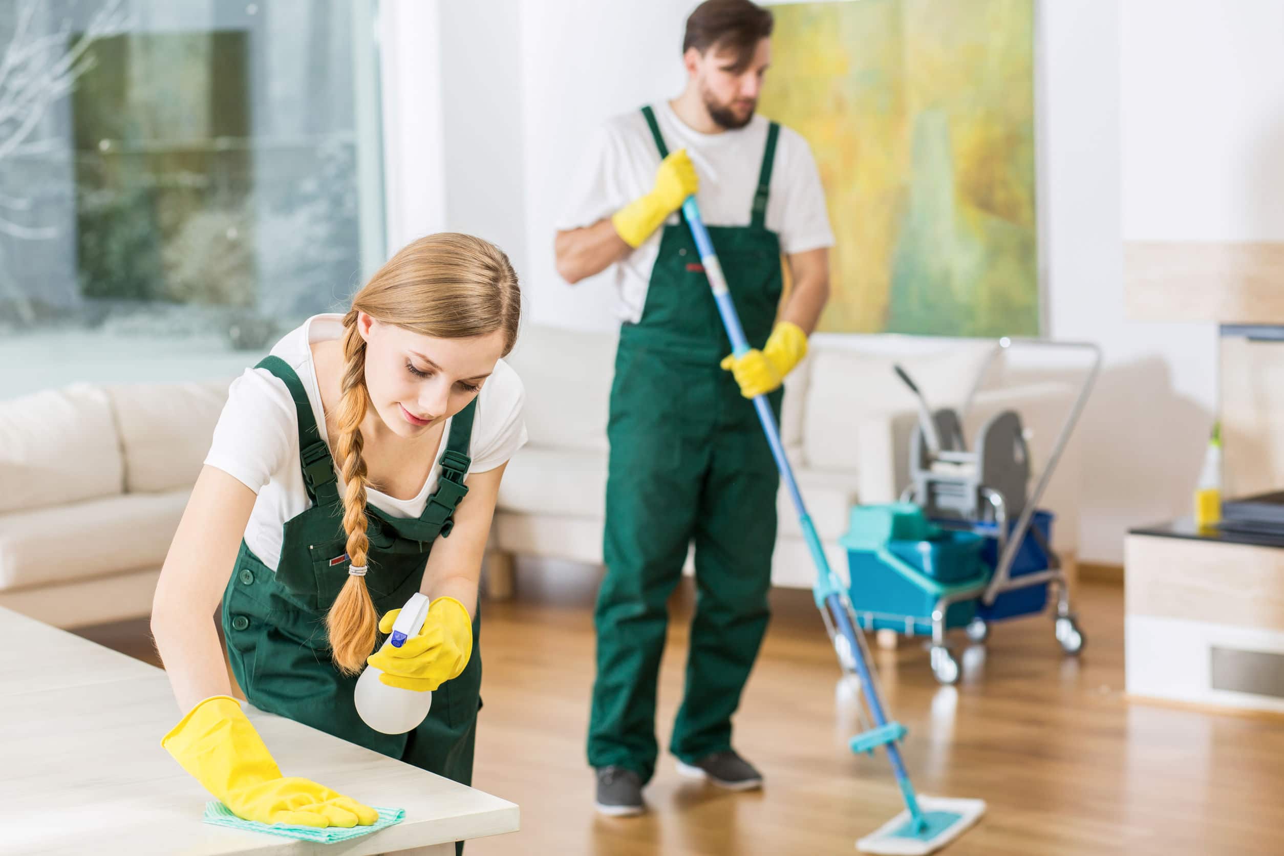 Professionals Cleaning House